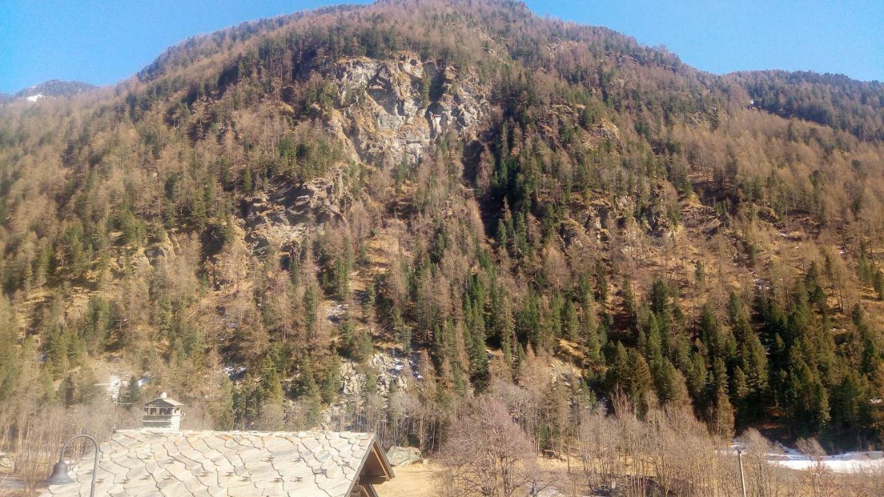 Nido Leilighet Champoluc Eksteriør bilde
